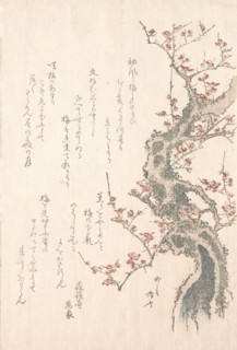 Spring Rain Collection (Harusame shu), vol. 1: Plum Tree in Bloom, ca. 1805-10., ca. 1805-10. Creator: Shinsai.