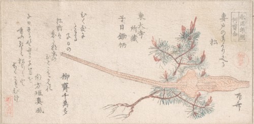 Young Pine Tree and Handle of a Plow, 19th century., 19th century. Creator: Shinsai.