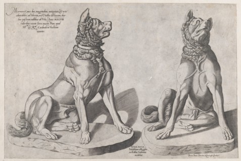 Speculum Romanae Magnificentiae: Two Dogs, 1558., 1558. Creator: Sebastiano di Re.