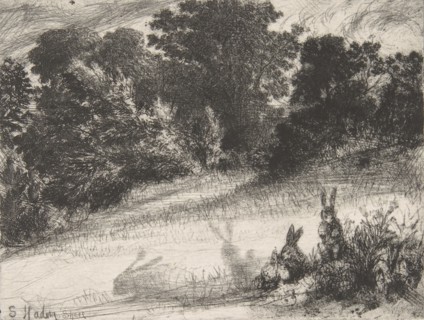 Combe Bottom, 1860., 1860. Creator: Francis Seymour Haden.