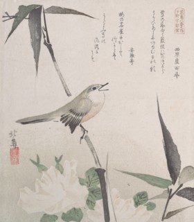Roses and Bamboo with Nightingale, 19th century., 19th century. Creator: Hokuba.