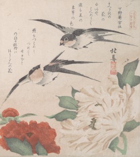 Spring Rain Collection (Harusame shu), vol. 3: Swallows and Peonies, ca. 1820., ca. 1820. Creator: Hokuba.