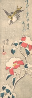 Sparrow and Snow-covered Camellia (Tsubaki), ca. 1845., ca. 1845. Creator: Ando Hiroshige.