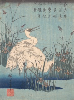 Egret in Iris and Grasses, ca. 1837., ca. 1837. Creator: Ando Hiroshige.