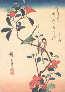 Japanese White-eye and Titmouse on a Camellia Branch, ca. 1840., ca. 1840. Creator: Ando Hiroshige.