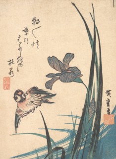 Iris and Sparrow, ca. 1832., ca. 1832. Creator: Ando Hiroshige.