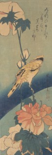 Black-naped Oriole Perched on a Stem of Rose Mallow, ca. 1834., ca. 1834. Creator: Ando Hiroshige.