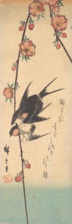 Pear Blossoms and Swallows, ca. 1840., ca. 1840. Creator: Ando Hiroshige.