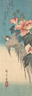 Hibiscus Mutabilis and Long-Tailed Bird, ca. 1842., ca. 1842. Creator: Ando Hiroshige.