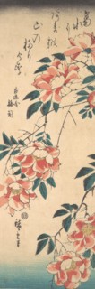 Roses, ca. 1843., ca. 1843. Creator: Ando Hiroshige.