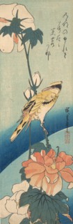 A Black-Naped Oriole on a Stem of Rose Mallow, ca. 1834., ca. 1834. Creator: Ando Hiroshige.