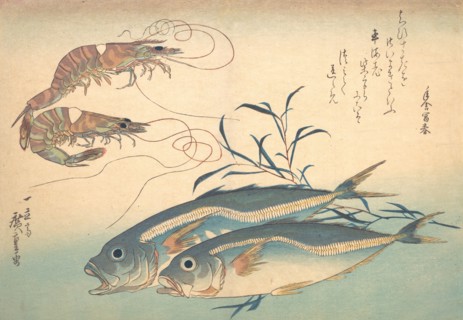 Aji Fish and Kuruma-ebi, from the series Uozukushi (Every Variety of Fish), 1830s., 1830s. Creator: Ando Hiroshige.