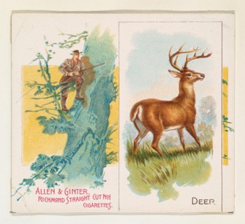 Deer, from Quadrupeds series (N41) for Allen & Ginter Cigarettes, 1890.