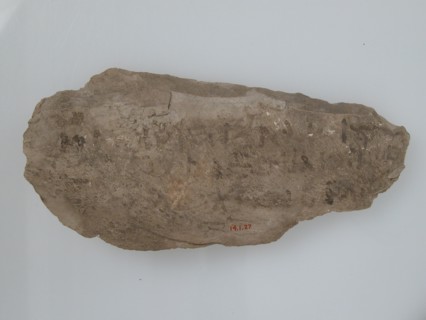 Ostrakon, Coptic, 600.