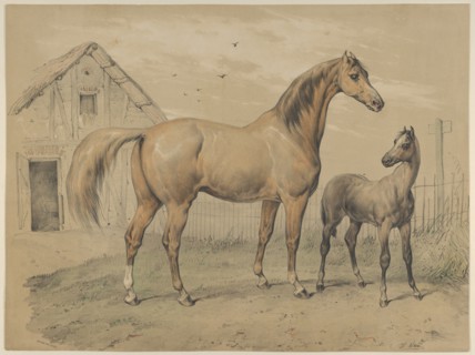 Mare and Foal, 19th century.