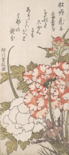 Peonies and Iris, 18th-19th century.