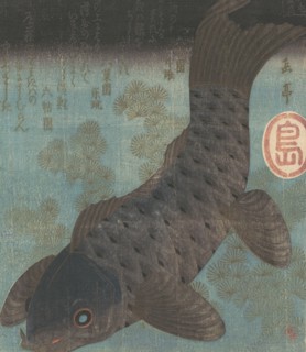 Carp and Pine.