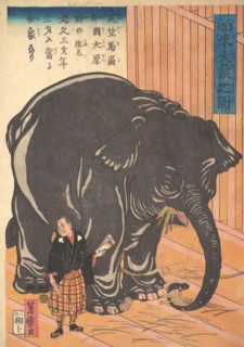 View of the Large Imported Elephant, 1863 (Bunkyo 3, 4th month).