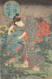 Fashionable Seven Autumn Plants (Fuzoku aki nanakusa), first half of the 19th century.