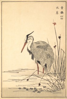 Gray Heron (Aosagi) and Mizu-aoi Plant, 1857.