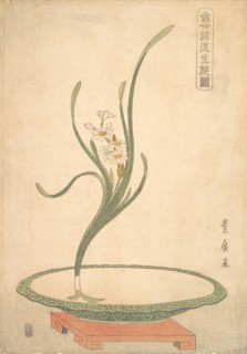 Flower Arrangement of Suisen (Narcissus) in a Flat Green Dish.