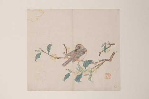 Page from Shi Zhu Zhai.