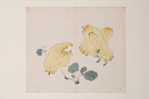 Page from Shi Zhu Zhai.