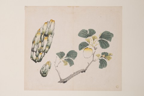 Page from Shi Zhu Zhai.
