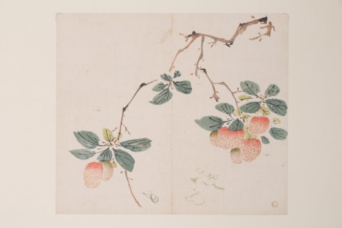 Page from Shi Zhu Zhai.