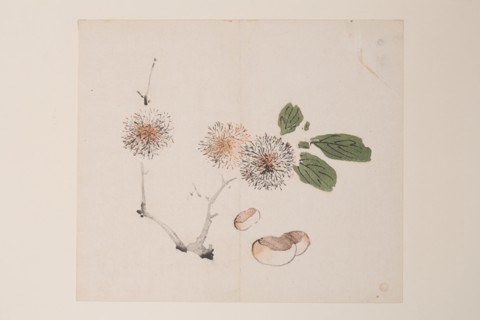 Page from Shi Zhu Zhai.