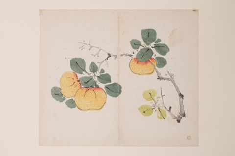 Page from Shi Zhu Zhai.