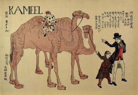 Camels with Dutch Handlers, ca. 1821.