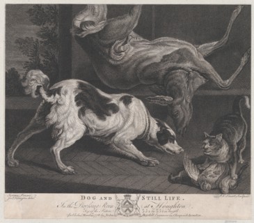Dogs and Still Life, 1778.