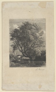 The Willow, 1850.