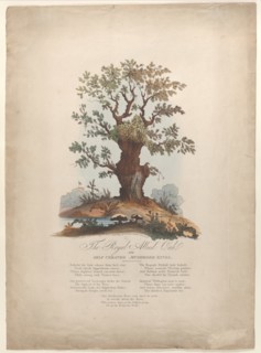 The Royal Allied Oak and Self-Created Mushroom Kings, May 29, 1815.