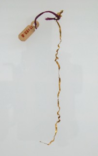 Flattened Wire, Frankish, 7th century.