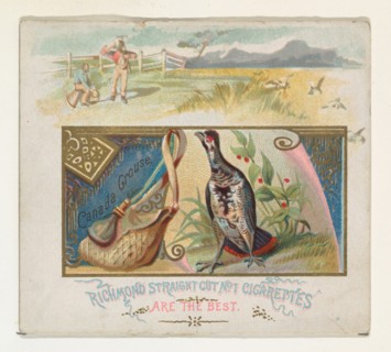 Canada Grouse, from the Game Birds series (N40) for Allen & Ginter Cigarettes, 1888-90.