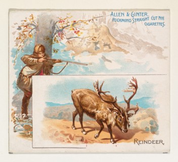 Reindeer, from Quadrupeds series (N41) for Allen & Ginter Cigarettes, 1890.