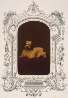 Les Chiens, 1860s.