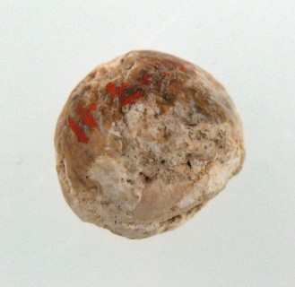 Cherry Stone from a Tomb, Frankish, 500-600.