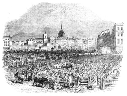Smithfield Cattle Market