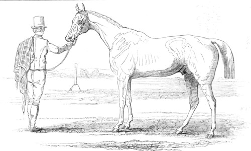 Colonel Peel's "Orlando"