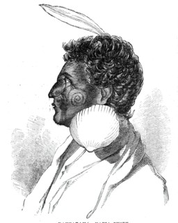 Rauparaha - Kafia Chief