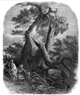 Specimen of wood-engraving