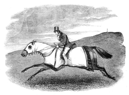Horse-training