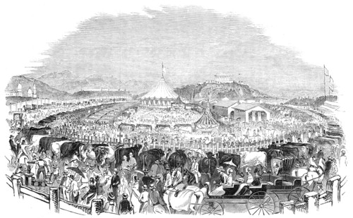 The Great Poughkeepsie Cattle Show