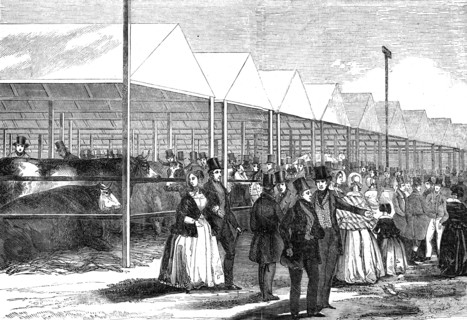 Exhibition of cattle at the meeting of the Royal Agricultural Society at Southampton