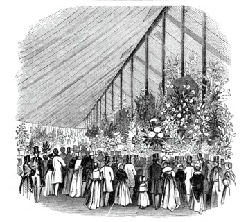 Principal Tent