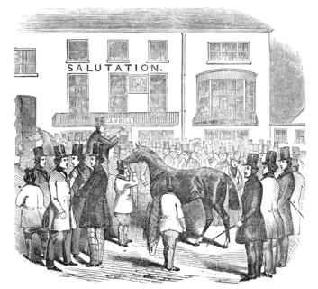 The Salutation