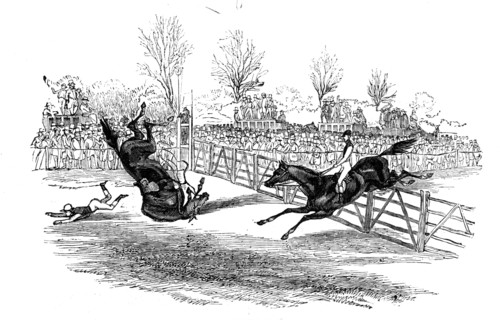 Hurdle race